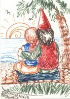 Shipwrecked Gnomes